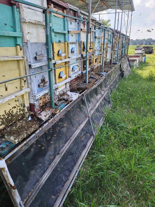 Продам рамки для вуликів українська система