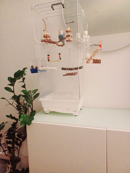 Gaiola Sala Acrilico