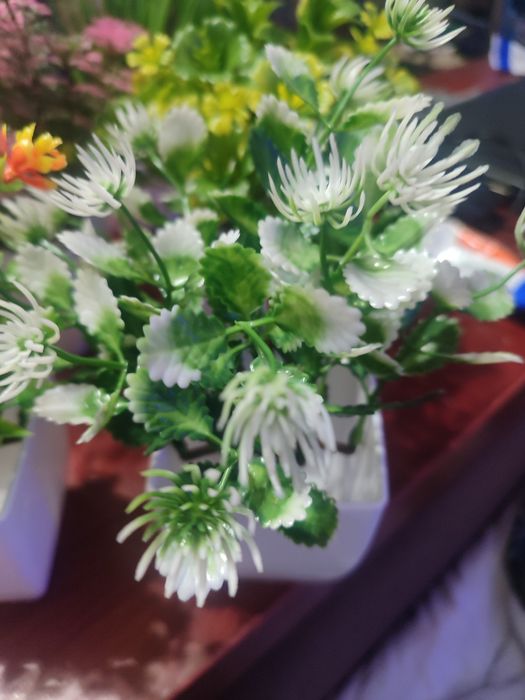 Яскраві штучні рослини . 7 штук.