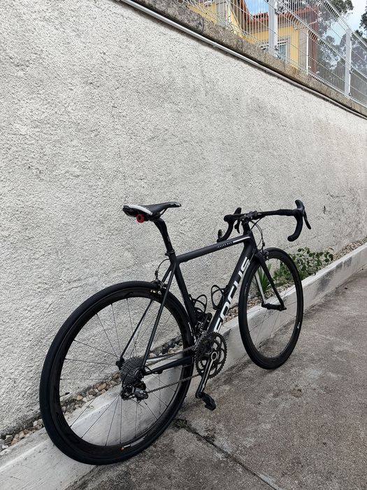 Focus Izalco Max