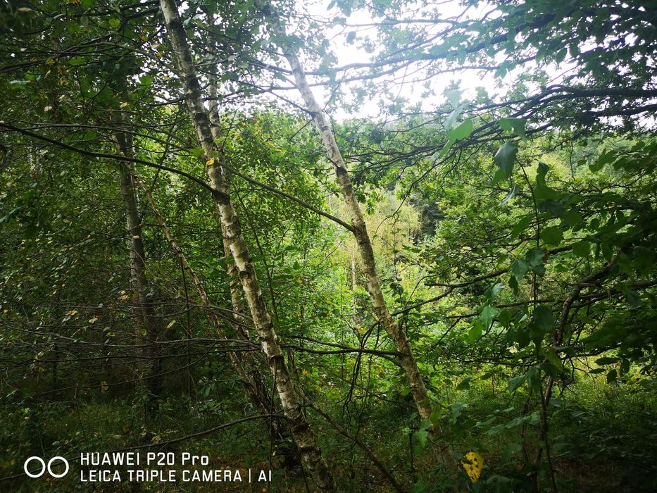 Włosań, gmina Mogilany.