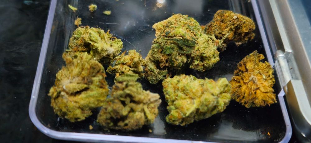 MAC (15g) Marihuana thc cbc cbn cbl Cannabis Flos do Aromaterapii