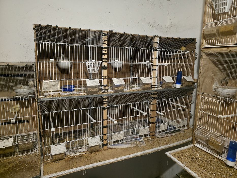 Vendo viveiro para aves/ canários
