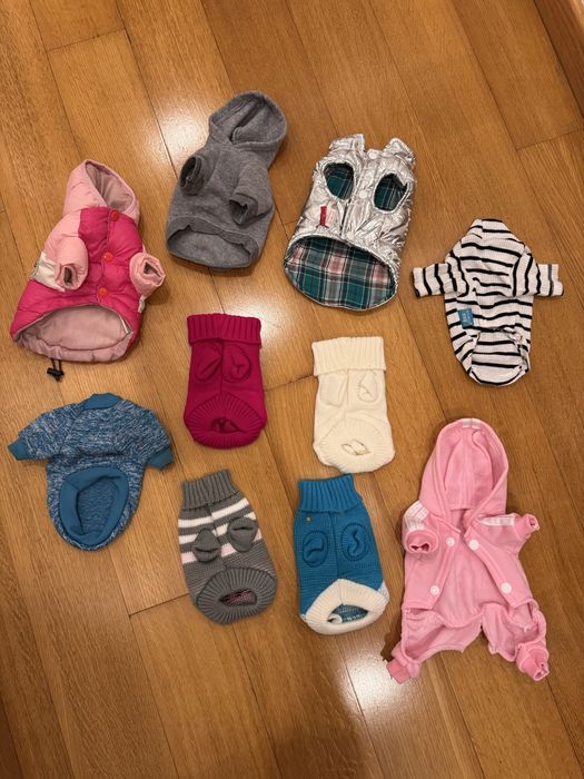 Roupa pinscher/ chihuahua