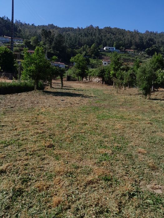 Limpeza de terrenos