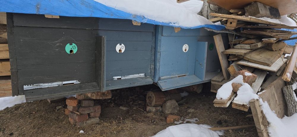 Продаються вулики