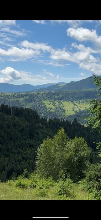 2 гектари без сусідів .
