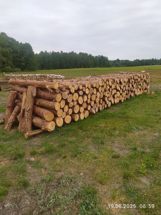 Drzewo , drewno opałowe, opał , drewno tartaczne,dłużyca.