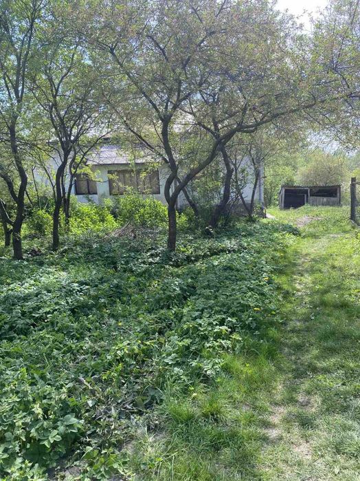 Продається будинок та земельна ділянка 10 сот. м. Кам’янка-Бузька - More