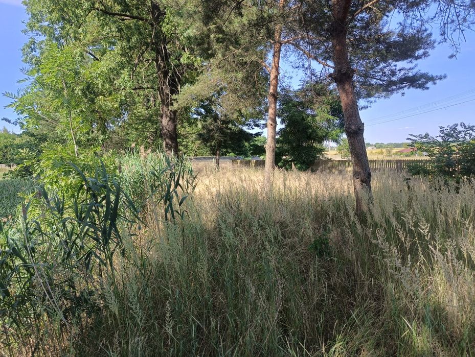 Działka budowlana rekreacyjna inwestycyjna - Więcej