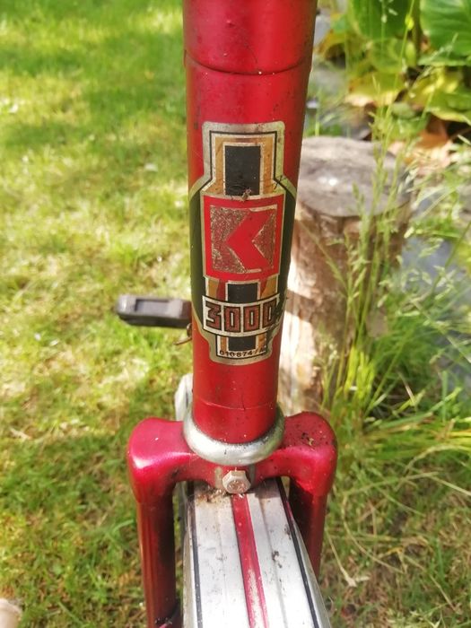 Rower miejski (bez kuferka)