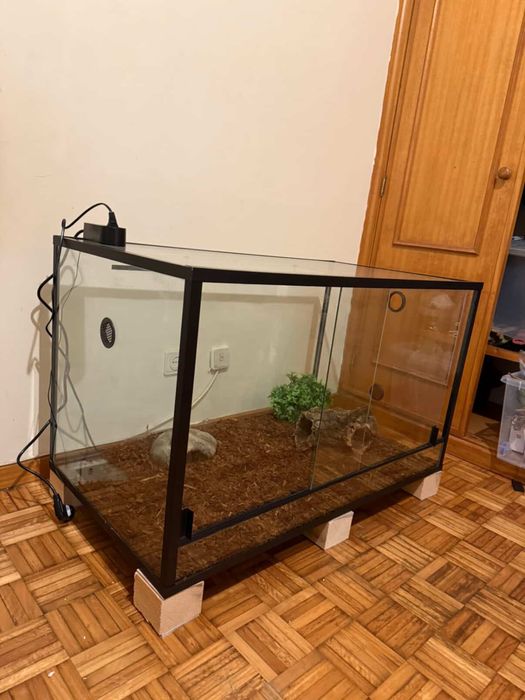 Vendo 2 terrarios com tudo incluido