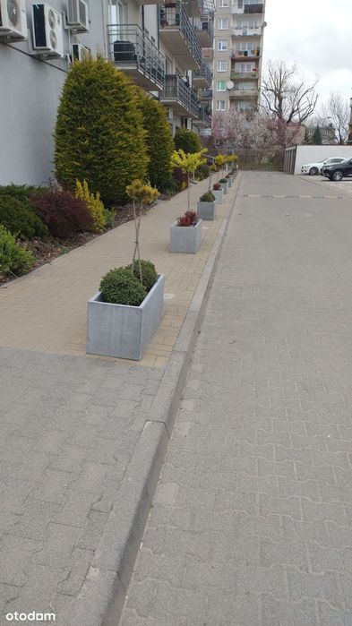 Przestronny 3-pokojowy apartament z balkonem