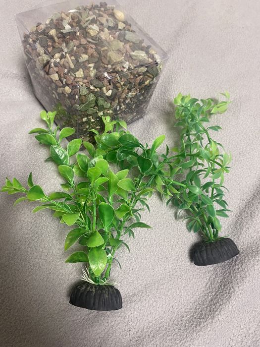 Скриня водорості і камінці для акваріума