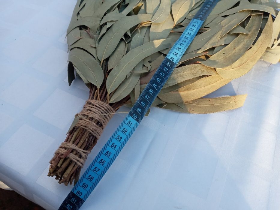 ВІники в баню сауну Дуб Береза Липа Ялина 10/5/50