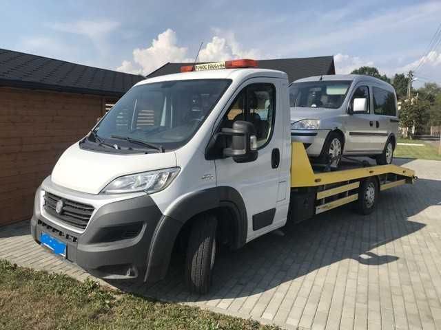 Wynajem autolaweta, bus Fiat Ducato, VW Transporter,VW Carawella