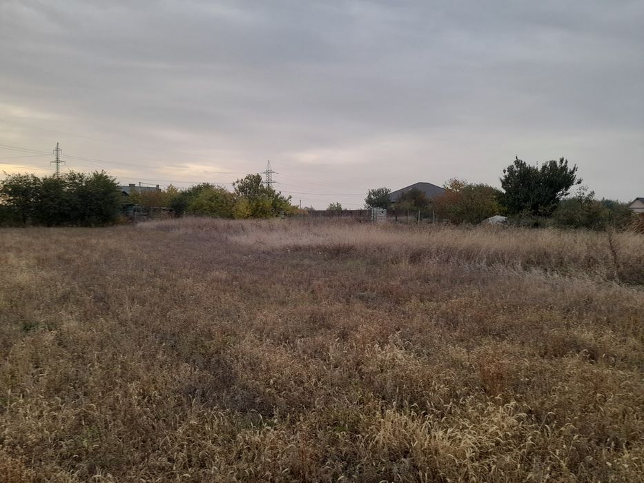 Земельні ділянки