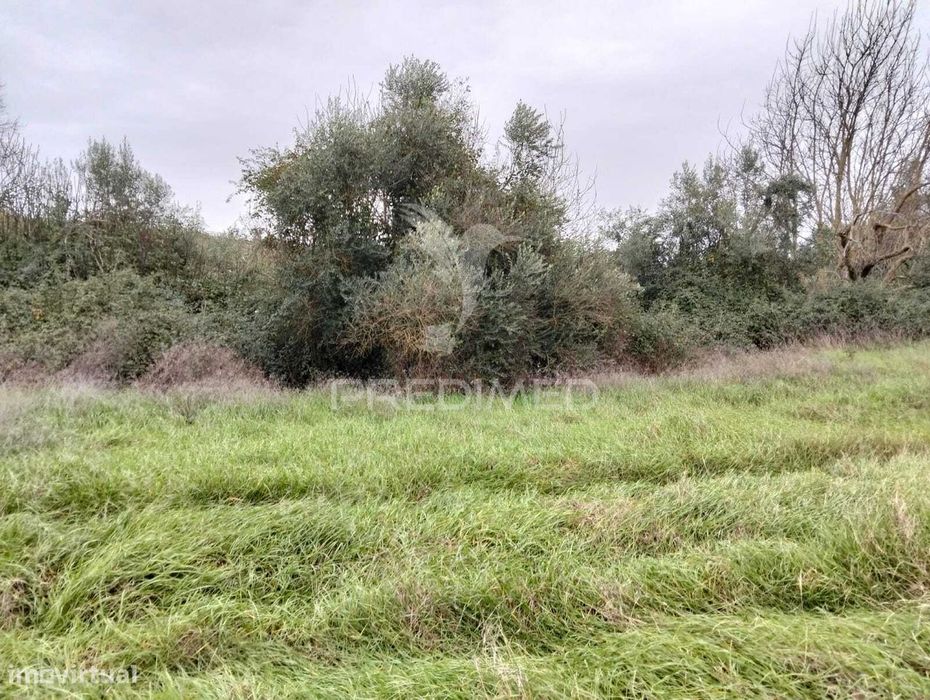 Propriedade Rústica com 9.750 m² em Juromenha – Alandroal — São Pedro Terena, Évora