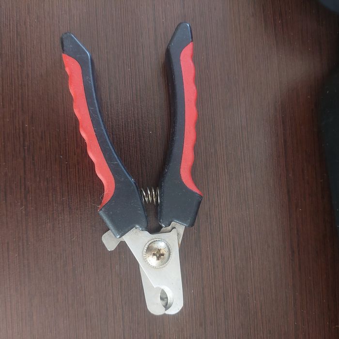 Zestaw do pielęgnacji psa