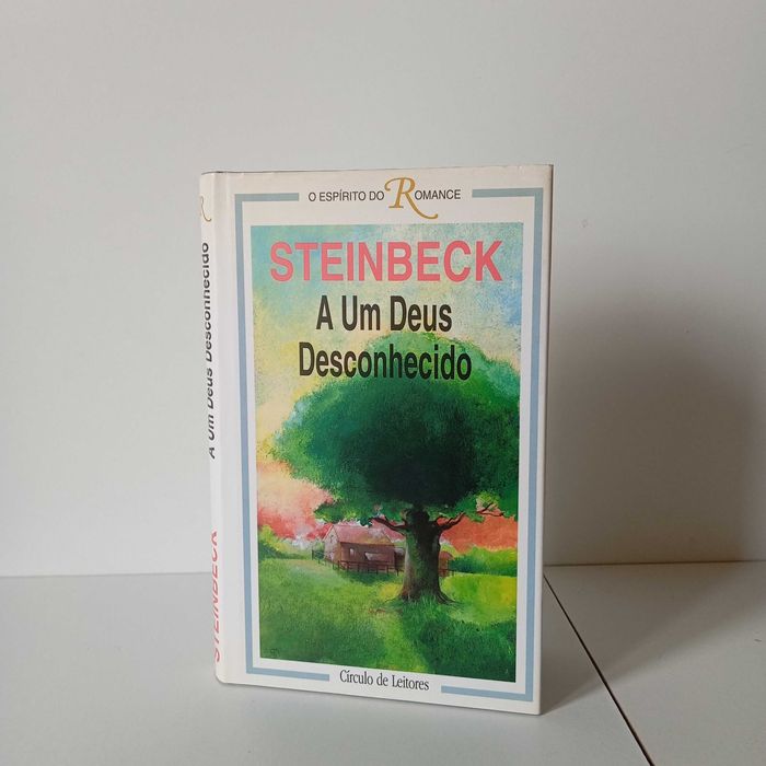 A Um Deus Desconhecido - John Steinbeck