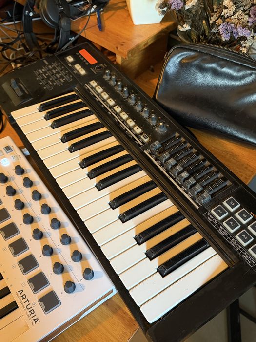 Roland A Pro 300
