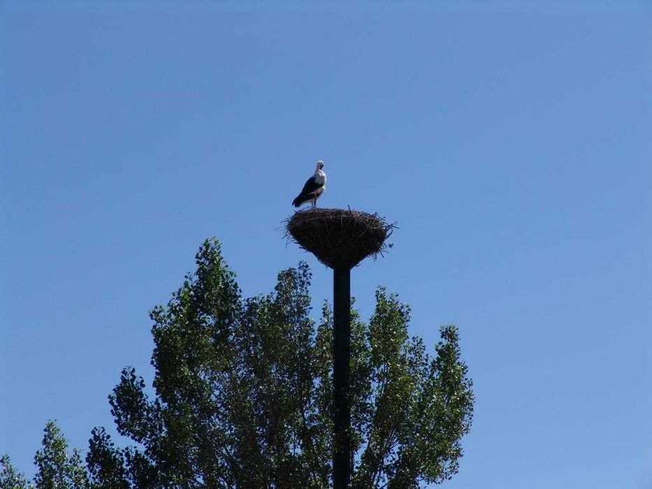 QUINTA_Bragança_Donai