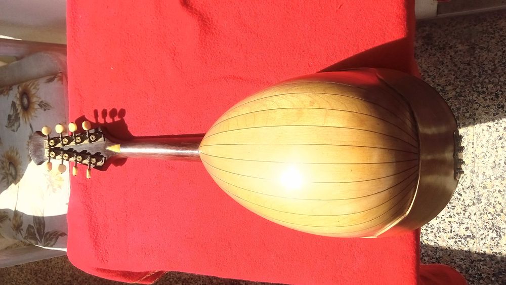 VENDO - Mandolin Napolitano Centenário (1909) - Raffaele Calace