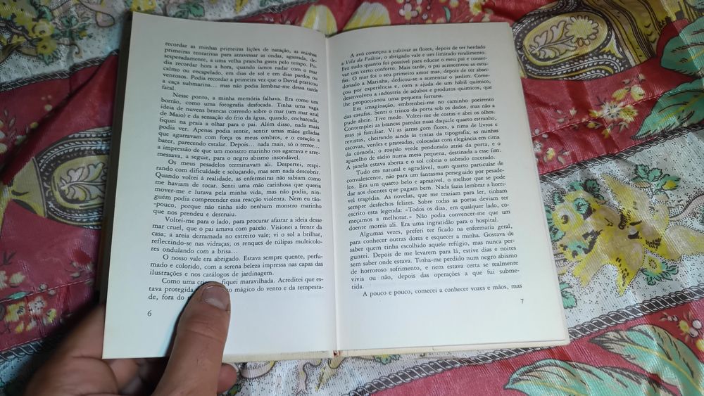 O solar da falésia_Theresa Charles