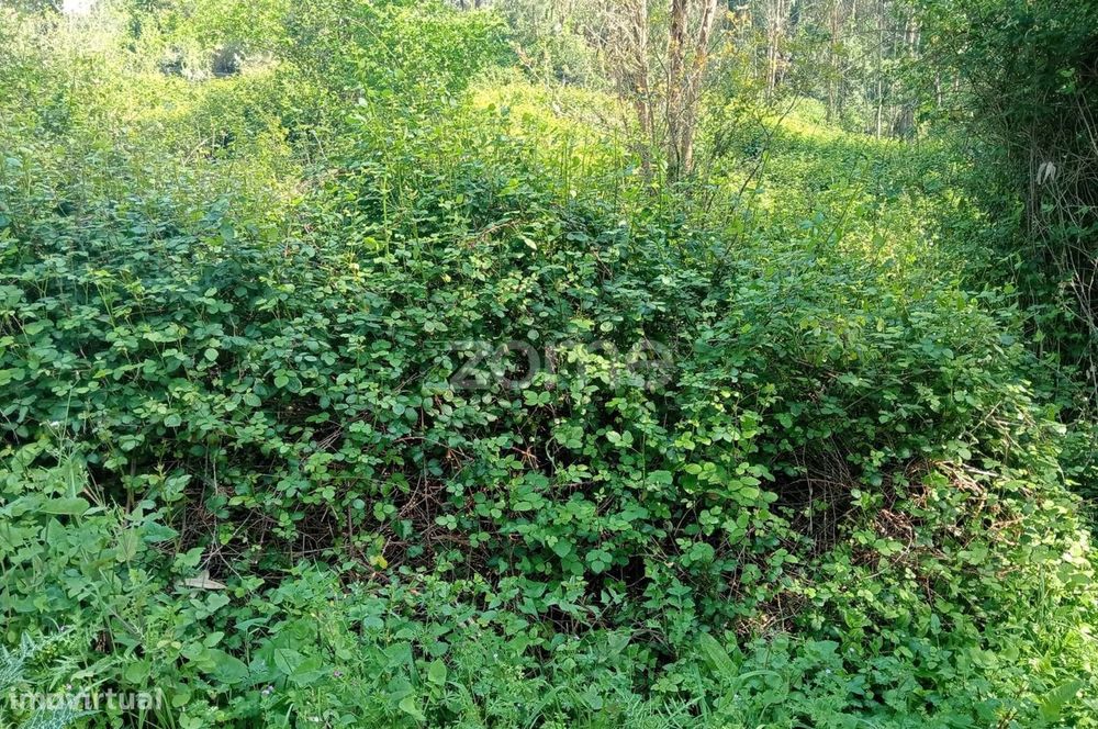 Terreno para construção