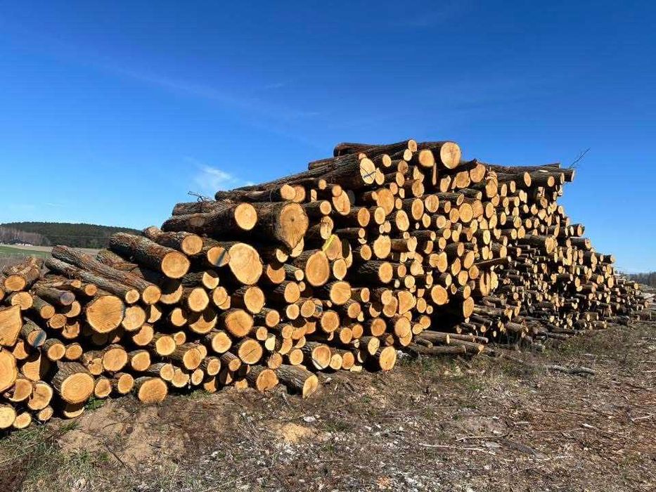 drewno opałowe w wałkach i rąbane