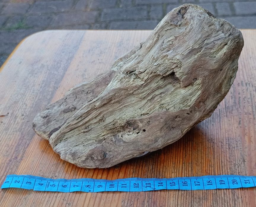 Морена коряга в акваріум