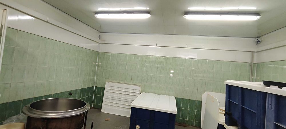 Продам комерційну нерухомість.Прибутковий готовий бізнес.Рибний цех