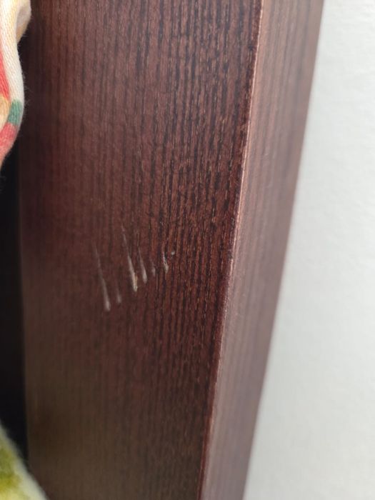 Cama de Solteiro com Colchão NOVO