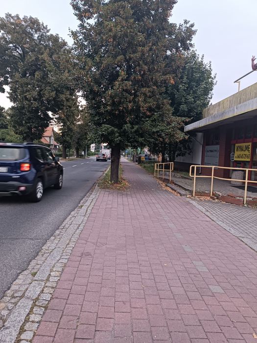 Lokal użytkowy do prowadzenia działalności gospodarczej