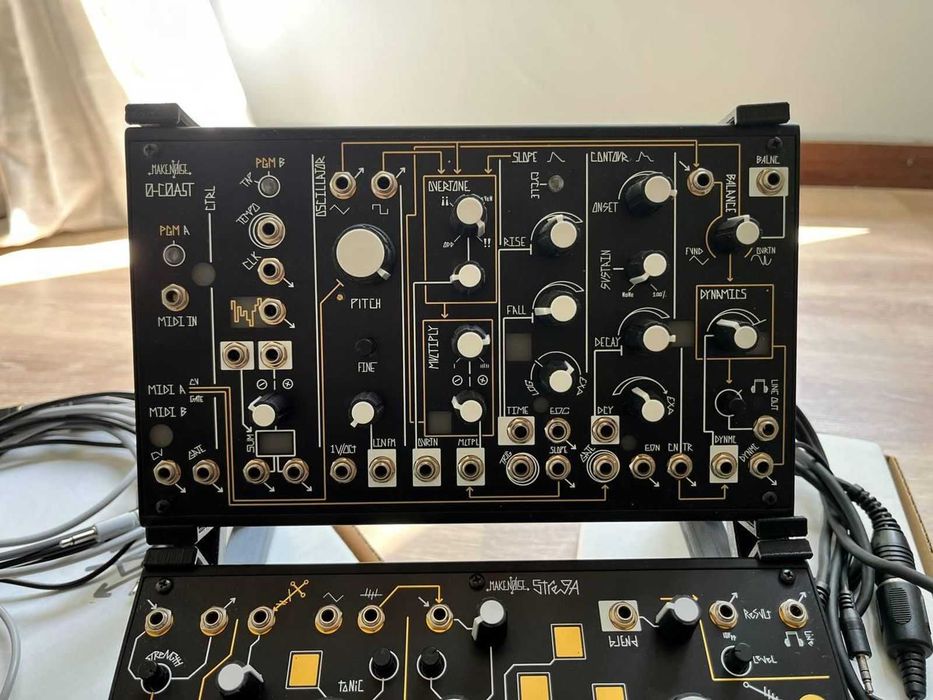 Make Noise 0-Coast + Strega + Dual Stand