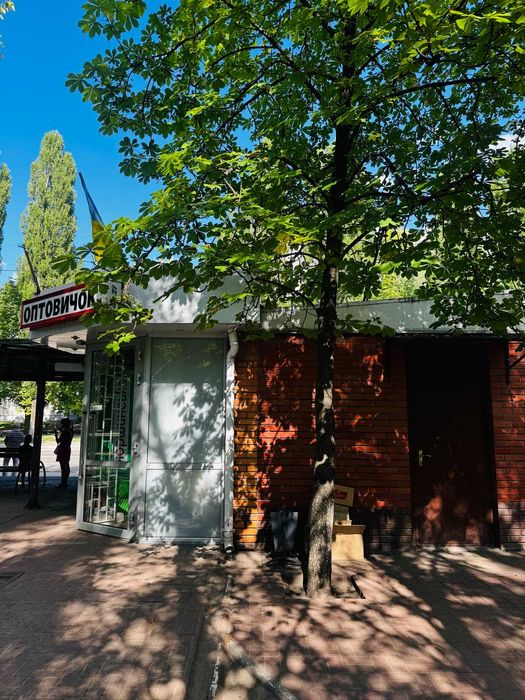 Здається комерційне приміщення!