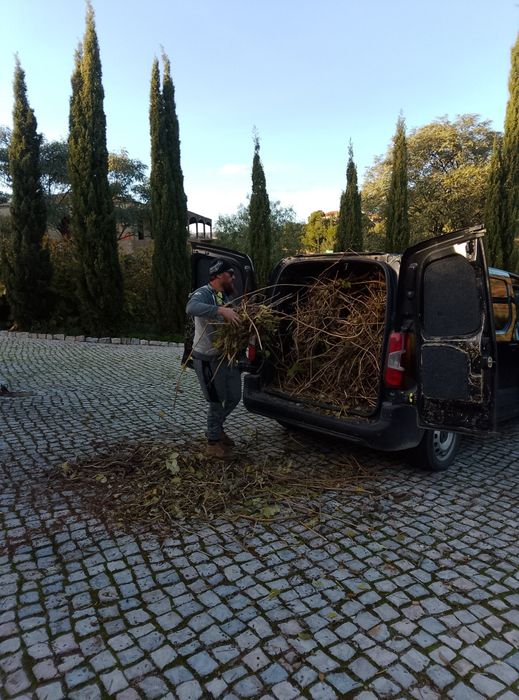 JardinsDm – Jardinagem  no Algarve