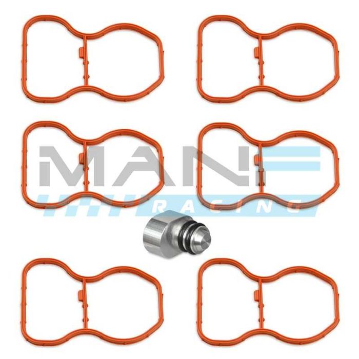 Soluções para Eliminar EGR, Permutador Água e Flap Delete em BMW
