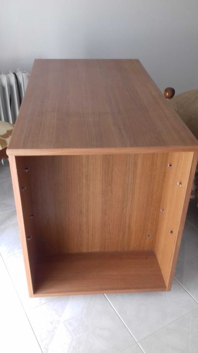 Secretária de CRIANÇA com Rodas