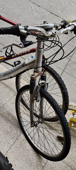 Bicicletas para adulto