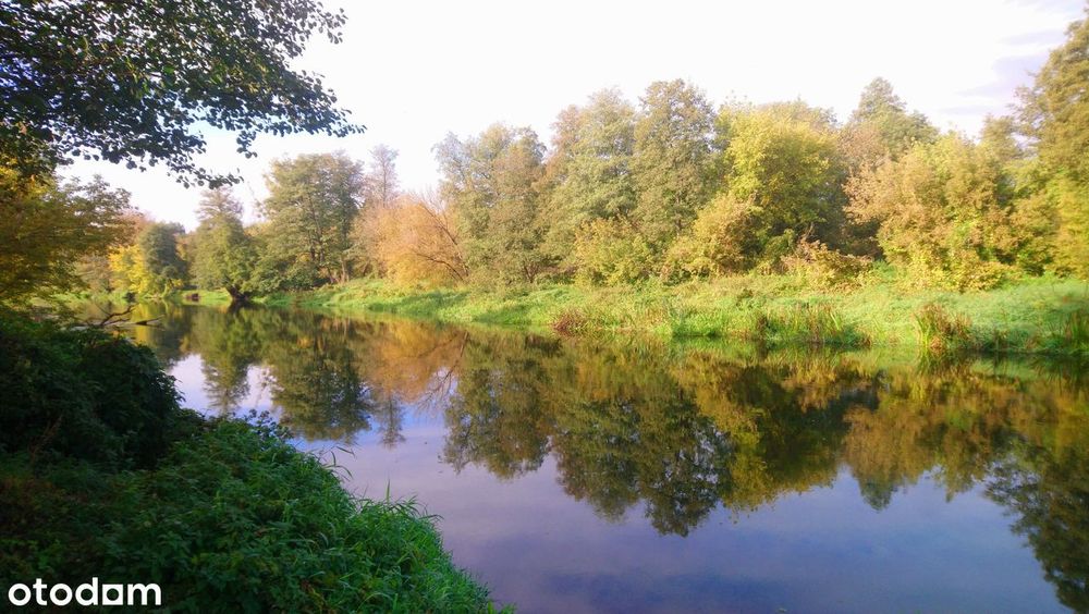 Sprzedam działkę budowlaną o pow. 1093 m² z pozwoleniem na budowę domu. - Widok 2