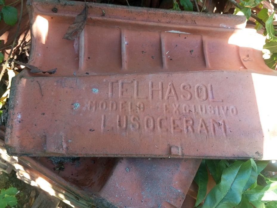 Telhas em bom estado