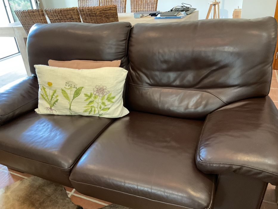 Sofas em pele castanha