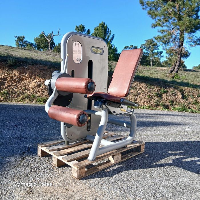 GYMAGIC-Leg curl sentado TECHNOGYM