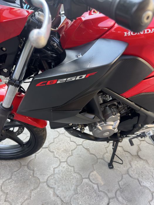 Хонда cbf 250  cbr 250