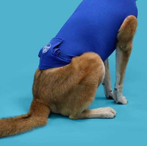 NOVO - KVP Recova Shirt Camisola de Recuperação cão/gato 8 tamanhos