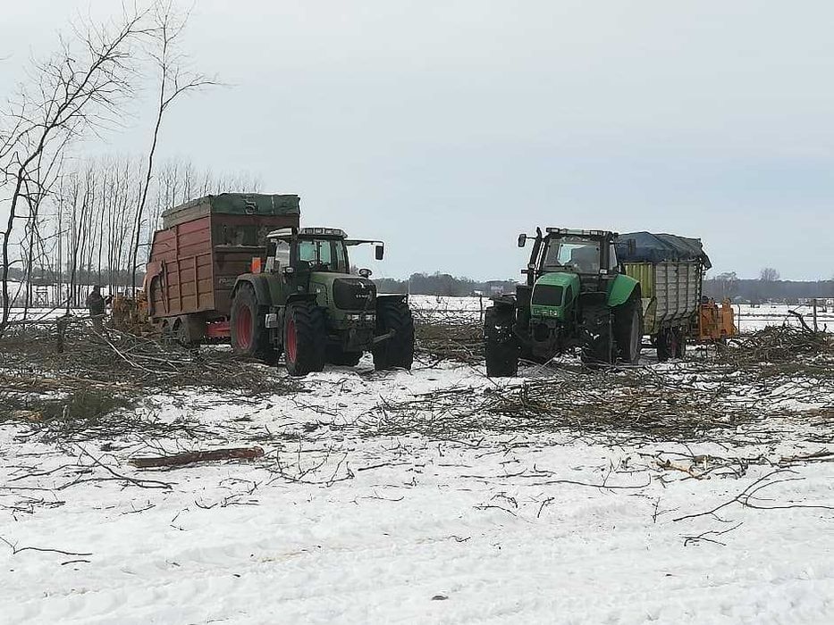 Zakupimy las, wyrąb lasów,wycinka drzew ,skup drewna, rekultywacja