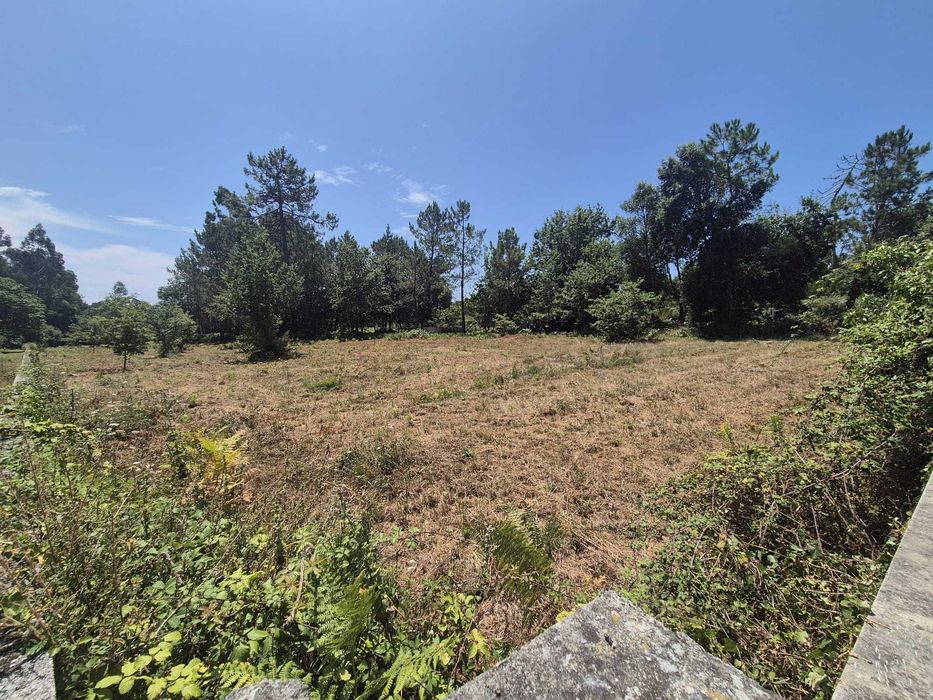 Vendo    Terreno Agrícola
