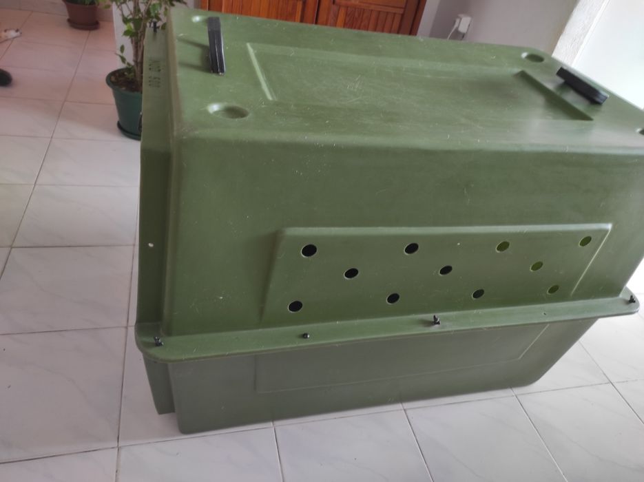 Caixa de transporte para cão em avião