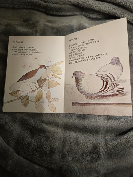 Lata ptaszek Wanda Chotomska